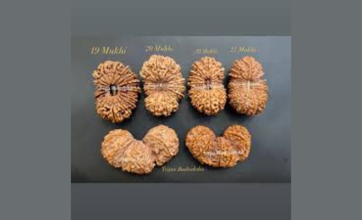 Discover the Authenticity and Benefits of Nepa Rudraksha from Nepal