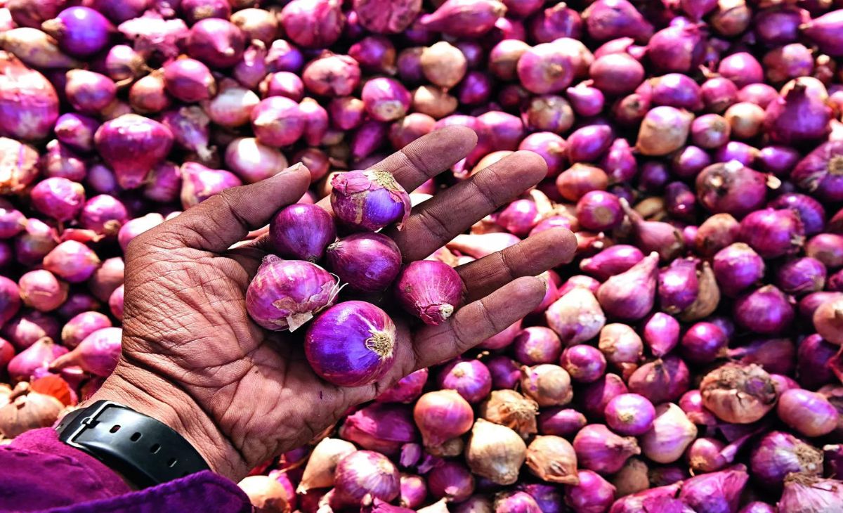 India's Onion Export Crisis: Political Turmoil in Bangladesh and High Duties Threaten Market Dominance