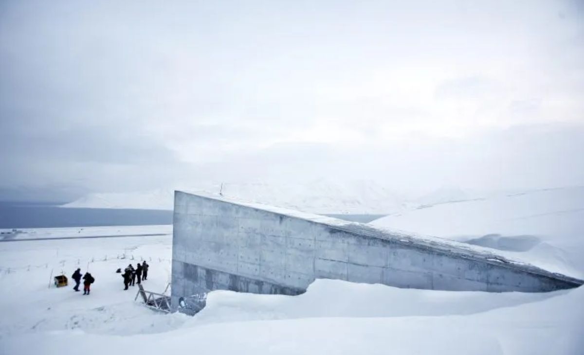 Scientists Propose Moon-Based ‘Doomsday Vault’ to Safeguard Earth’s Biodiversity and Prepare for Cosmic Survival