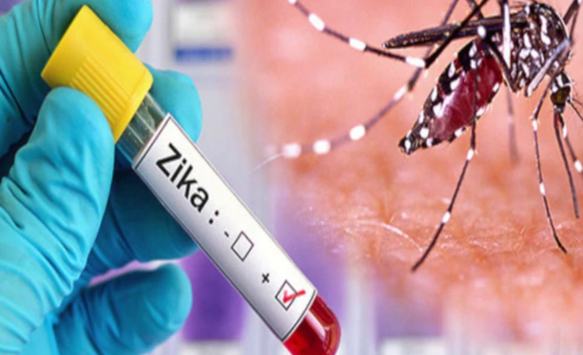 Zika Virus Outbreak in Pune: New Cases Reported, Urgent Call for Enhanced Prevention Measures