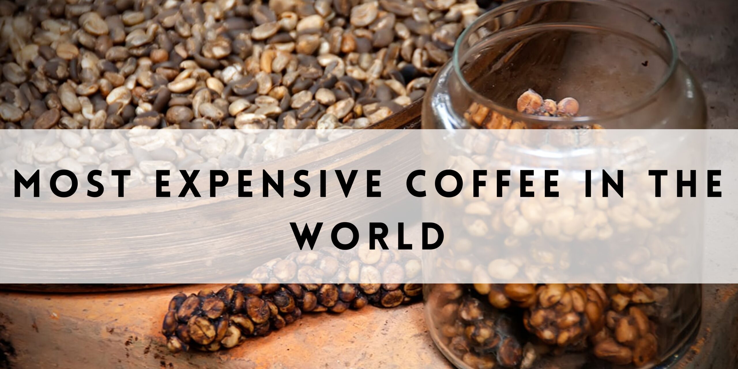 Unveiling the Most Expensive Coffee in the World: Luxury in Every Sip